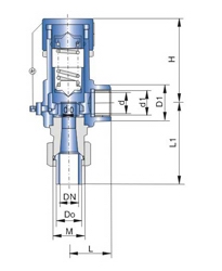 A61F,A61H,A61W,A61Y彈簧微啟式焊接安全閥(圖1)