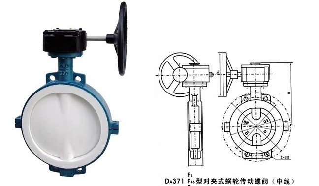 D371F46蝸輪襯氟蝶閥(圖1)