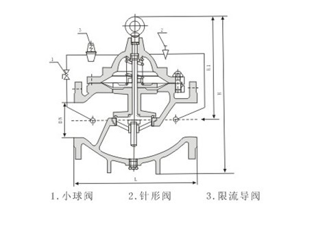 LH45X限流止回閥(圖1)