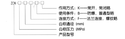 ZCM防爆煤氣電磁閥(圖1)