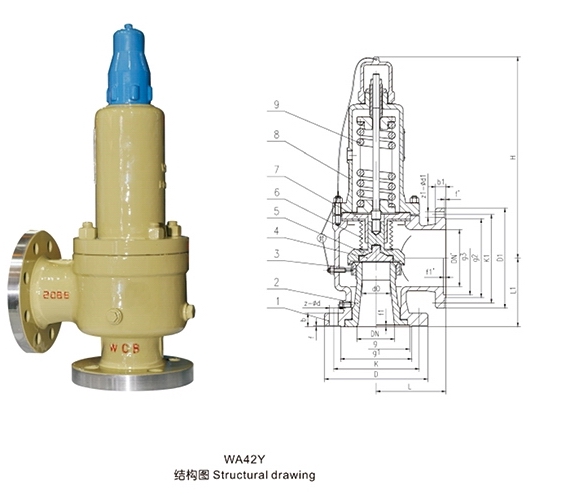 WA42Y波紋管平衡式安全閥(圖1)