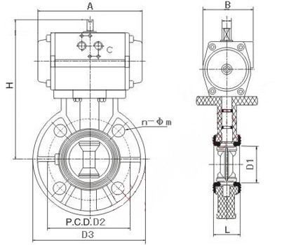 D671X-10S氣動(dòng)塑料蝶閥(圖1)