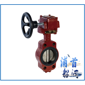 Marine wafer worm gear butterfly valve G